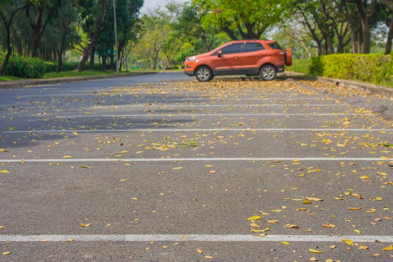 Autumn Pavement Work